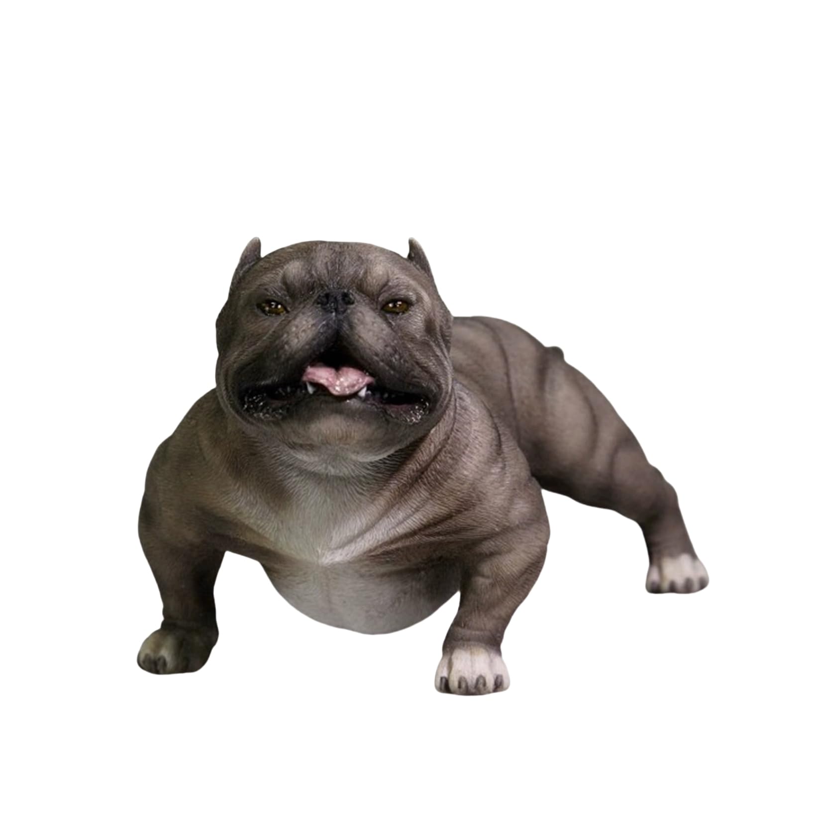 Amazon | Mr.Z 1/6 サイズ アメリカン·ブリー 犬 動物 リアル